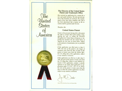 U.S. Patent of Slow Release Depot Therapy